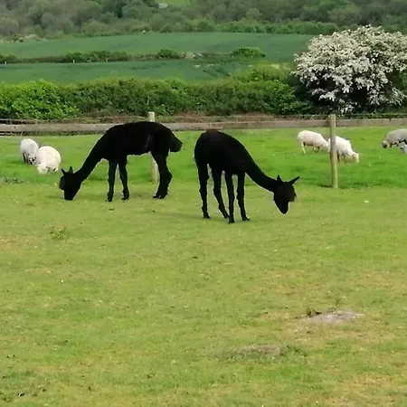 Semesterbostad Luddie's Country - Poppy
